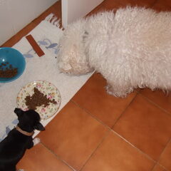 Samen met gerarke smullen.