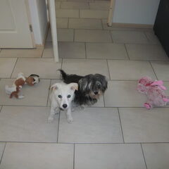 Angel samen met lady op de foto en zitten we niet netjes.
