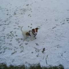leuk he sneeuw