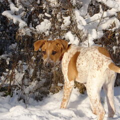 Sneeuwmonster! hihi