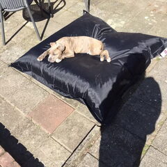 Weer broer van Spike nu ouder