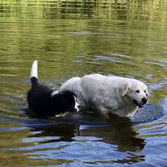 Rustig samen met Sam even afkoelen