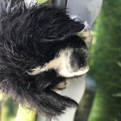 Lekker koel onder de boom,