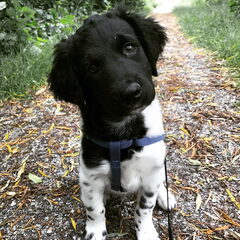 Van het weer genieten met Milan. 12 weekjes oud.