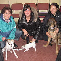 Bo met z`n 2 vriendjes ;)) van de puppy curcus