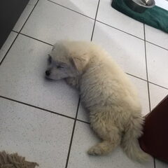 zo was hij vorige week