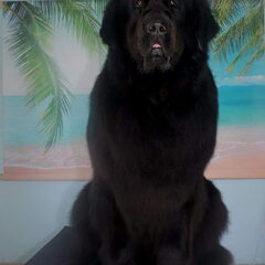Izzy 3,5 jaar