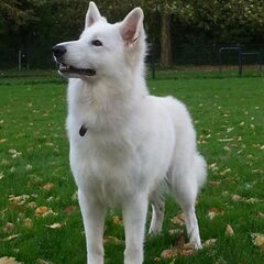 Wat een beauty