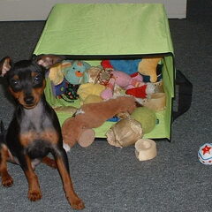Play time