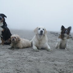 Kleine meeting op het strand met dezelfde leuke groep…