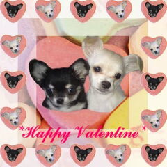 Diego en Shady Happy Valentine!