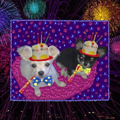 Diego en Shady hadden ook wel zin in een feestje, dus alle…