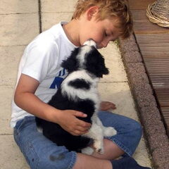 Liefde is....