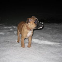 Poseren in de sneeuw!