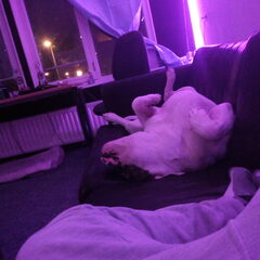 Totale ontspanning haha