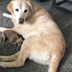 Pixel met haar grote vriend Diesel