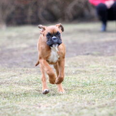 Ulrika 5 month