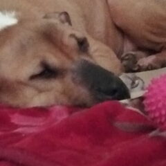 I love u zoey