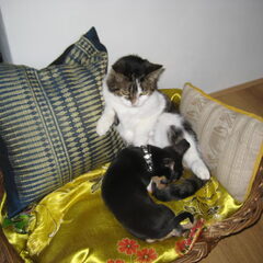 Met Lana gaat het ook een stuk relaxter. Lana is wel wat…