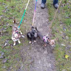 samen met mijn hondenvriendinnetjes Bailey & Zora