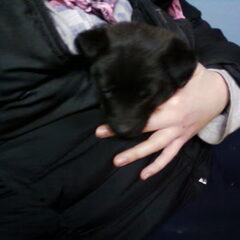 bailey 5 week