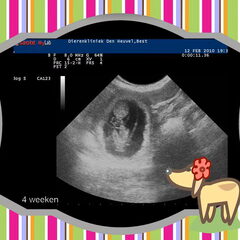 hier is tinkel 4 weeken