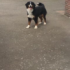 Onze June ????
