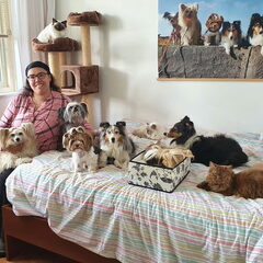 Dierendag 2020
