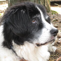 laatste foto van Cliff