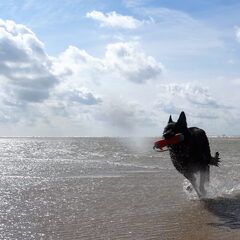 We wonen vlak bij strand, wat een rijkdom.