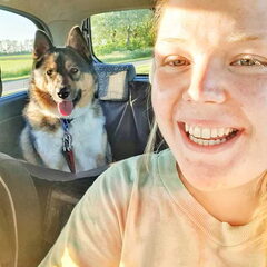 Hi! Dit is Mitch een 2 jaar oude Samojeed x Husky x Herder…