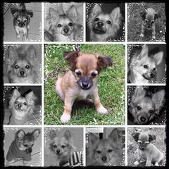 Hier is casperke van klein tot groot Schattig he