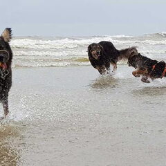 Eerste keer strand voor Glory