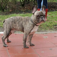 Dit is Jake