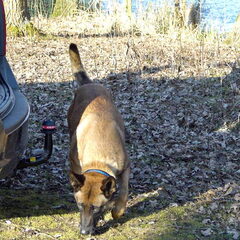Dit is dus ons nieuwste familielid: Aries.....Ze is geboren…