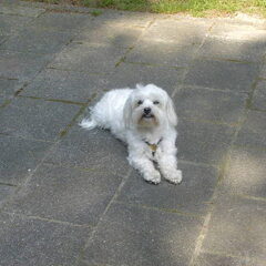 Zonnekloppen doet ze ook heel graag ....nog meer dan…