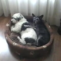Friends forever