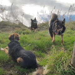 Heerlijk trio