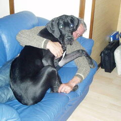 Bailey bij Piet. Bailey is hier 5 maanden oud.