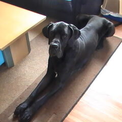 Bailey standbeeld.