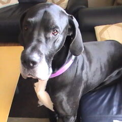 Boon op de bank.