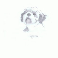 nouska getekend door mij