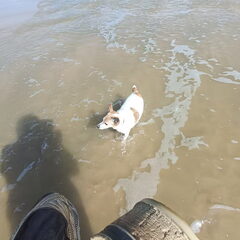 onze jack , ondertussen 14 en geen echte water liefhebber