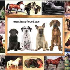 Mijn website , met prachtige handgemaakte dierenspullen.