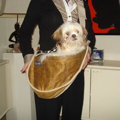 Montie 5 kg. In de Fundle draagtas (14 maart 2010 ) Ze is…