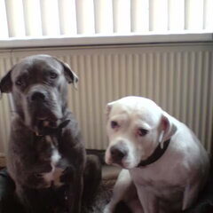 Bella en Angie