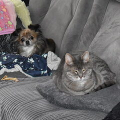 Lotus en kat Nemo, samen op de bank.