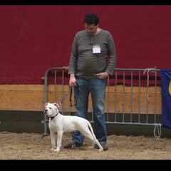Bink zijn eerste show met de baas