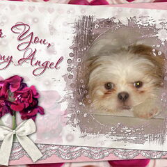 Fabienne heeft deze foto van Montie ( my angel) bewerkt !!!!