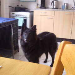 mijn trotse vriend! bij pap en mam thuis!
